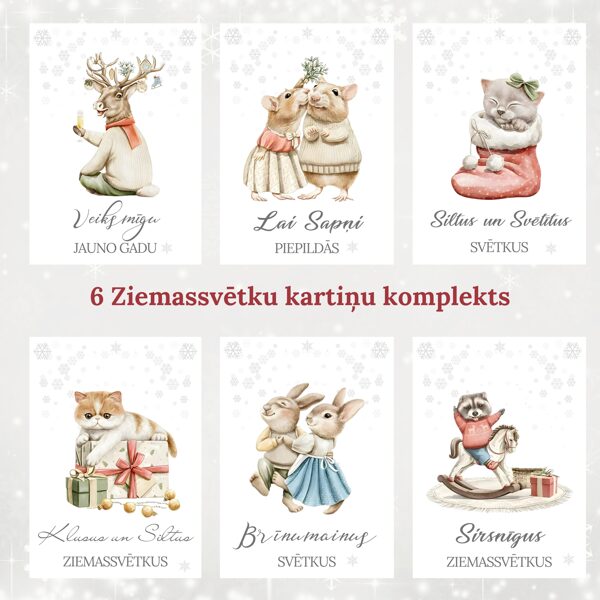 6 Ziemassvētku kartiņas - Sniegpārslas
